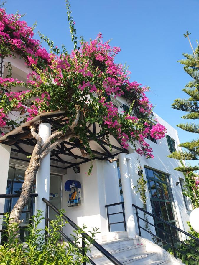 Oscar Aparthotel Laganas
